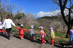 ぼくたちの富士山 (333T)