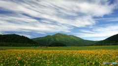 至仏山遠望