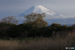 富士・遠望