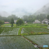 青鬼（あおに）の朝 -2