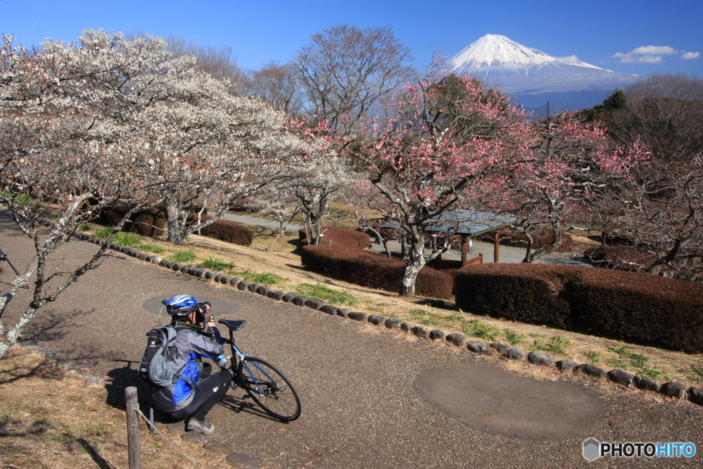 富士とサイクリスト （420T)