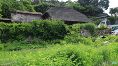 芦川村散策 -2 生活の場