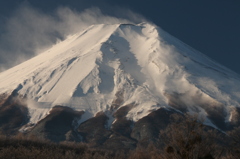 明けましておめでとうございます ！ (81Ｔ)