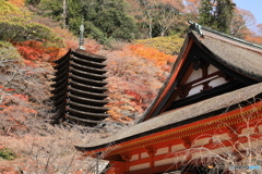 談山神社で