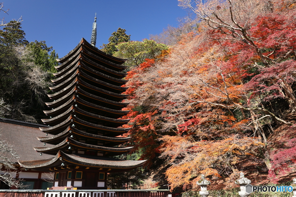 奈良・談山神社で