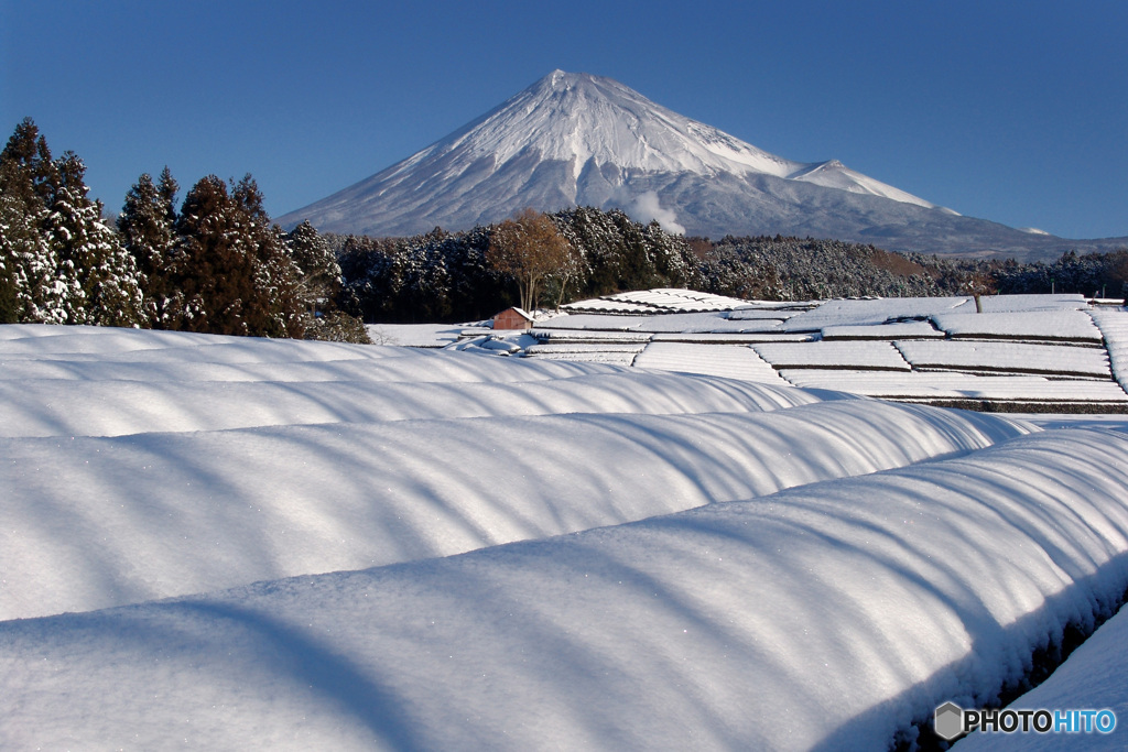 雪晴れの日に