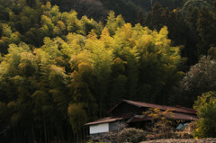 山里にて