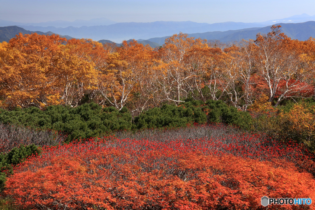 乗鞍岳の紅葉