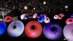 和傘の灯る公園で