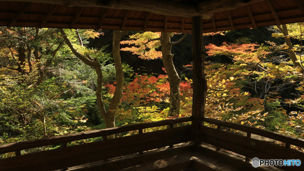 東屋からの光景