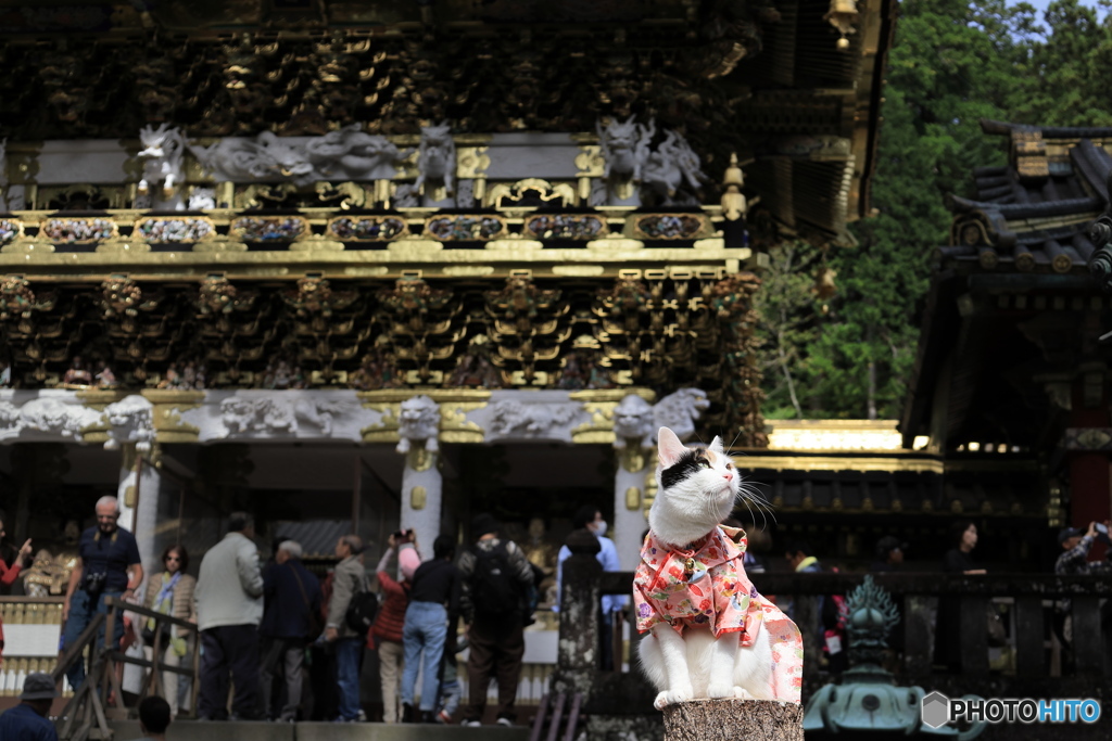 ここはドコ？ ワタシはダレ？
