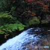 渓谷の紅葉