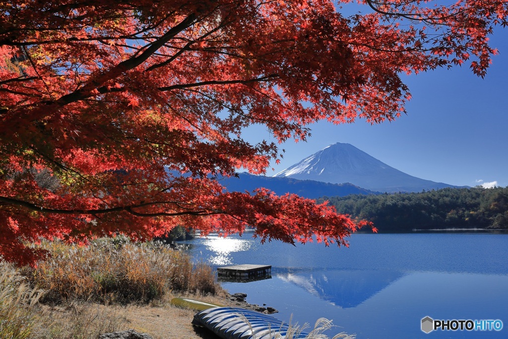 朝の湖畔