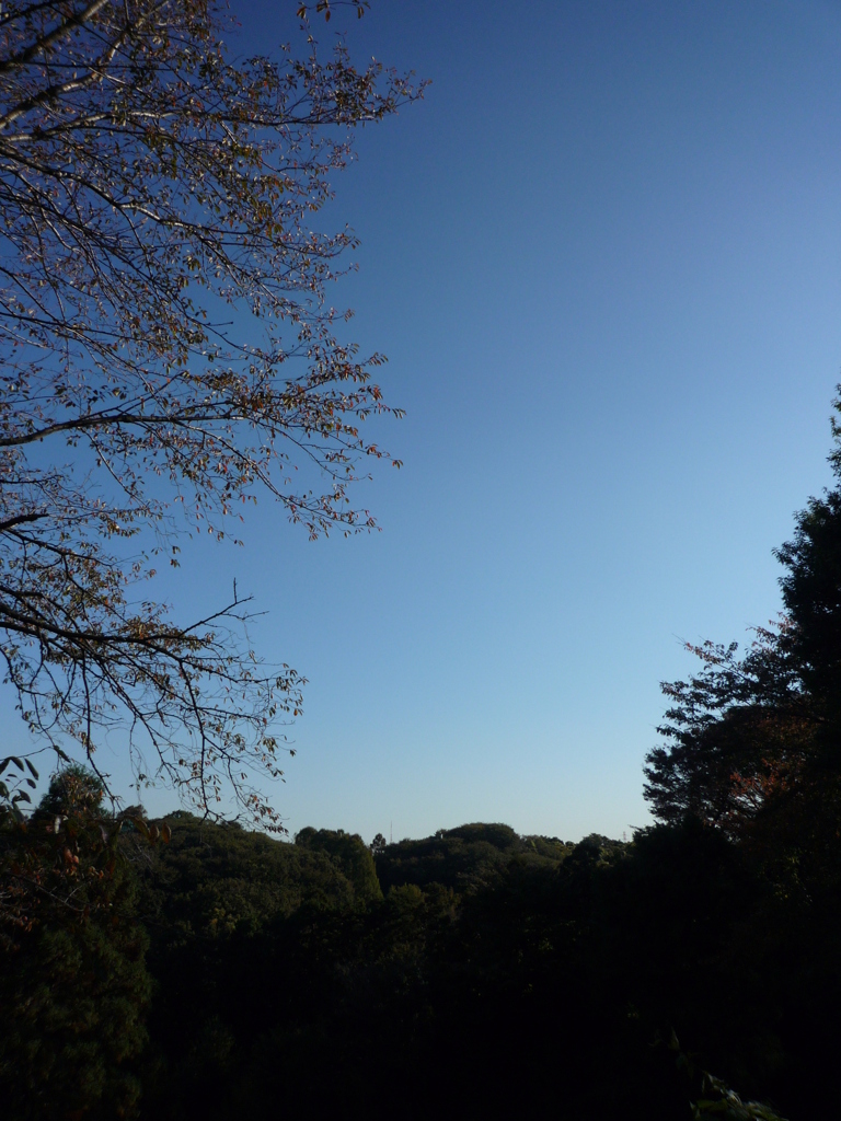 P1030719