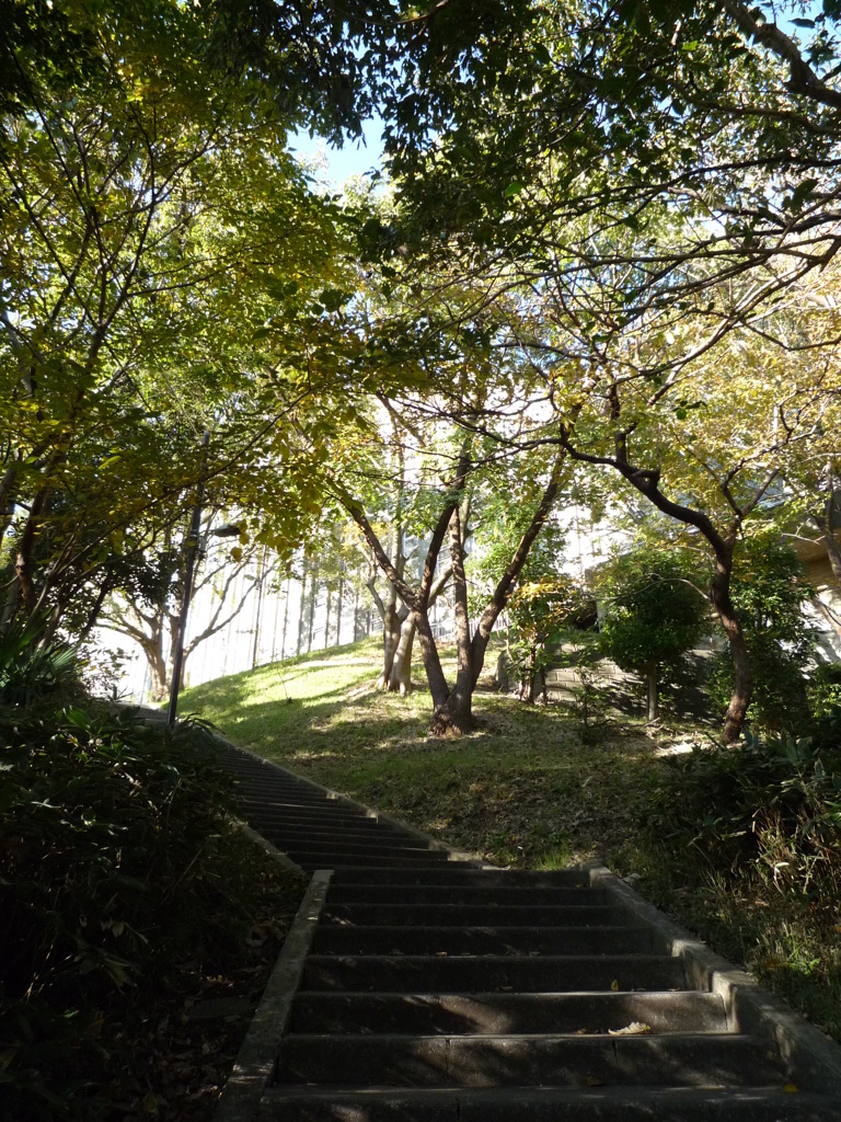 P1030684