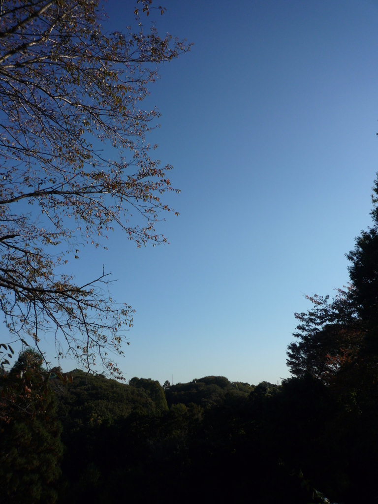P1030718