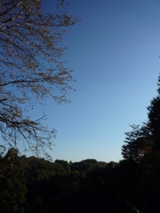 P1030718