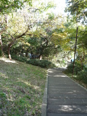 P1030694