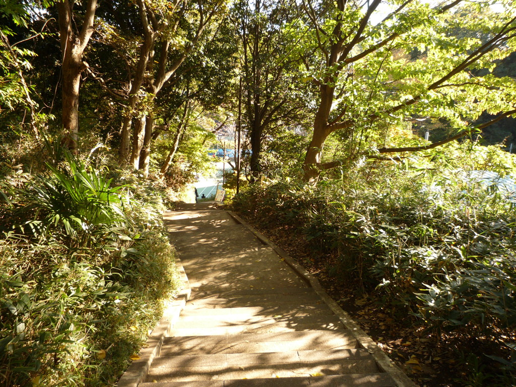 P1030667