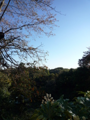P1030711