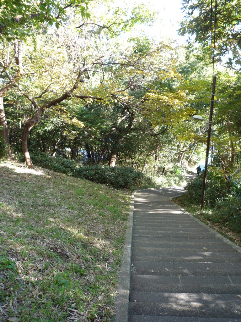 P1030695