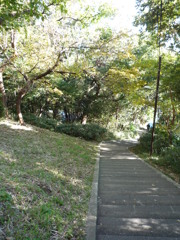 P1030695