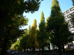 P1030751