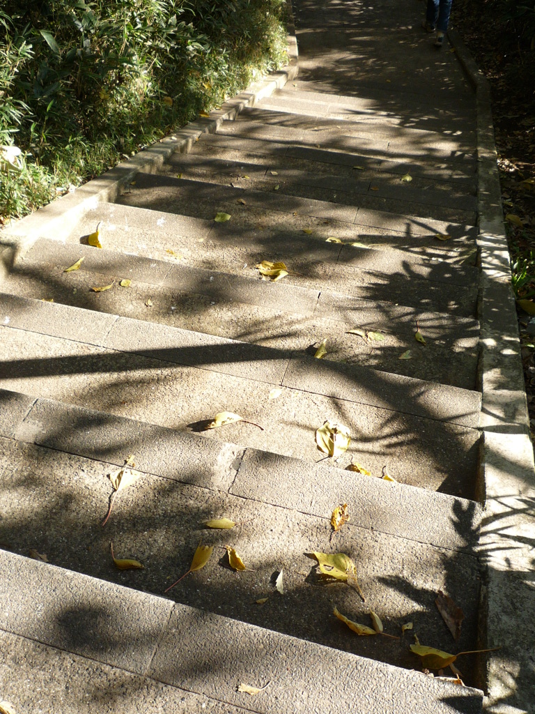 P1030679