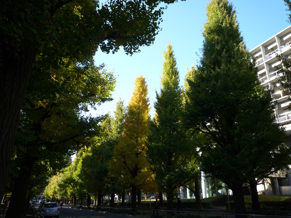 P1030750