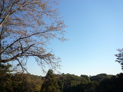 P1030743