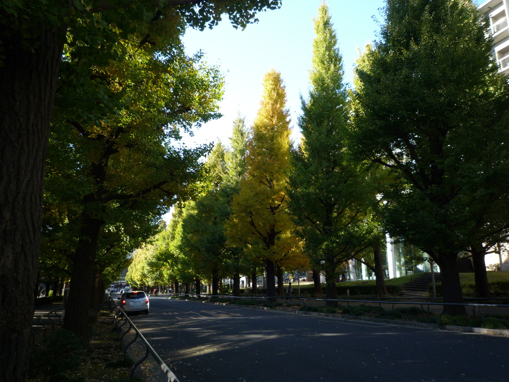 P1030753