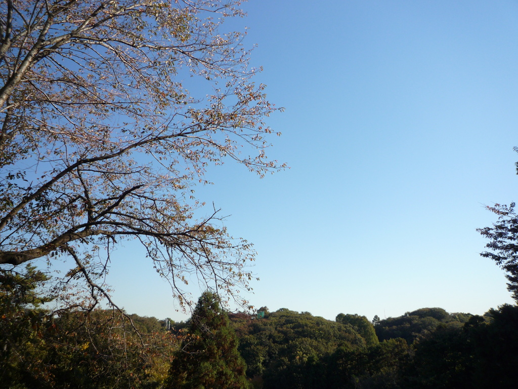 P1030744