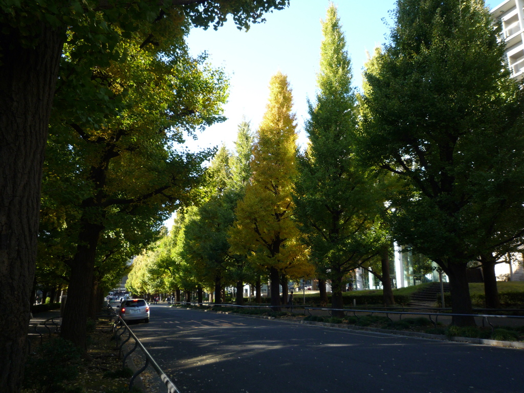 P1030752