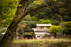 京都民家