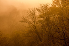 紅霧の朝