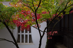 京の秋色模様　♯6