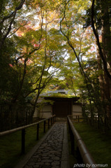 京の秋物語 4