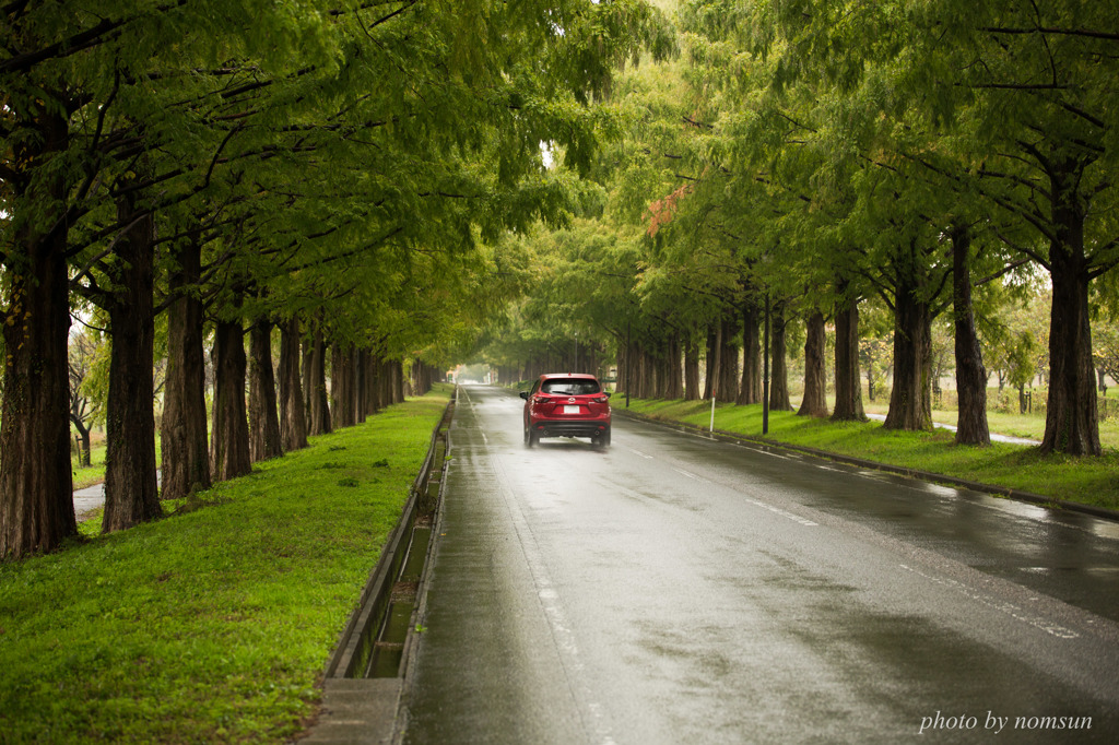 morning rain