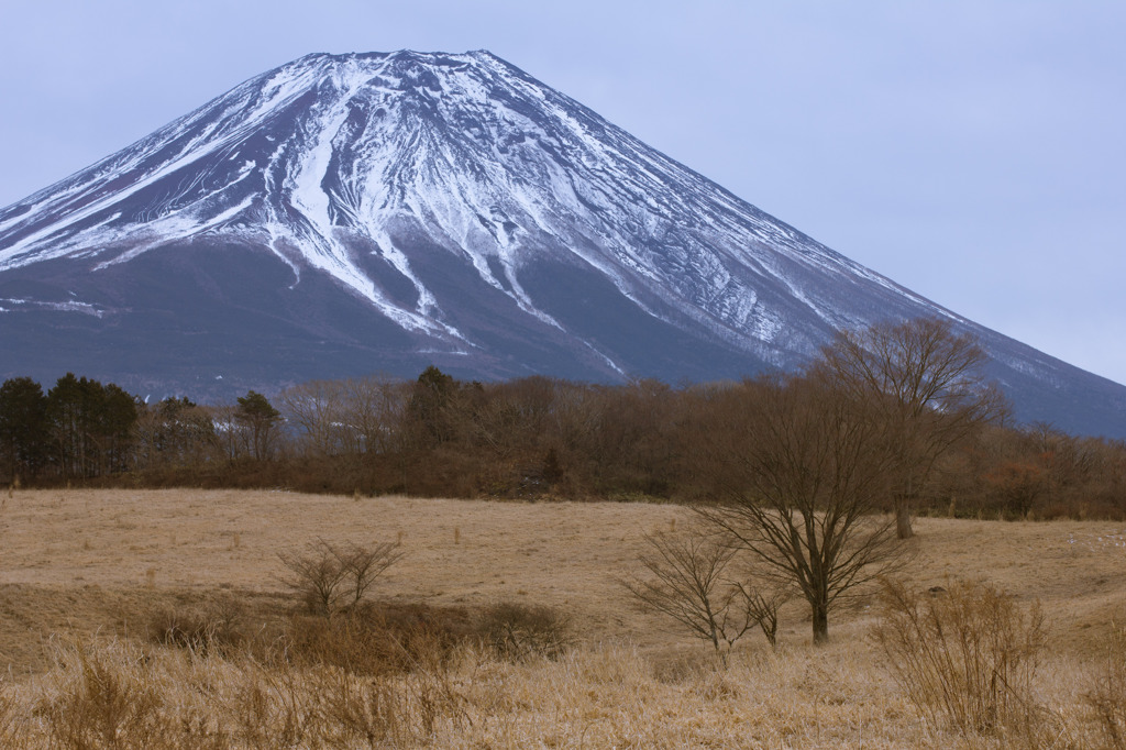 霊峰富士　２