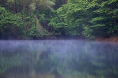 池の目覚め　１