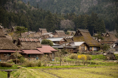 里の春情景　1