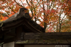 京の秋物語 2