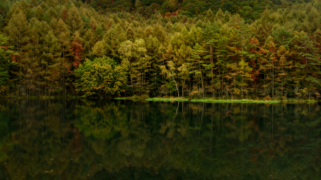 Autumn color pond