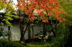 京の秋色模様　♯4