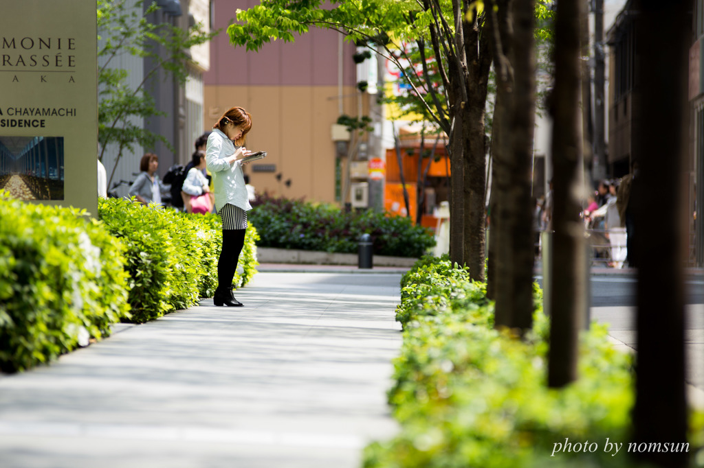 Green Wind