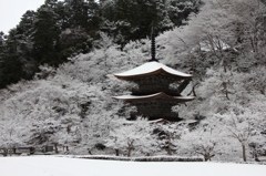 雪の金剛院