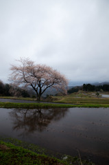 ふるさと景色