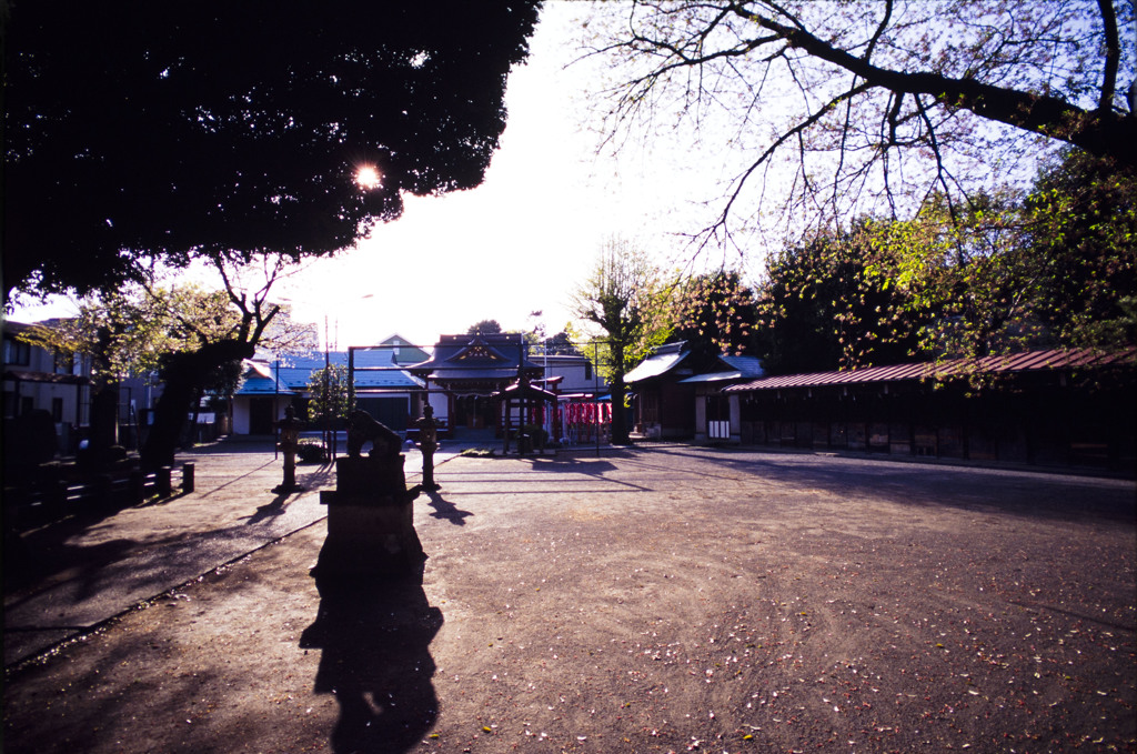 近所の神社