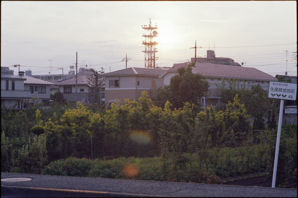 秋の光２