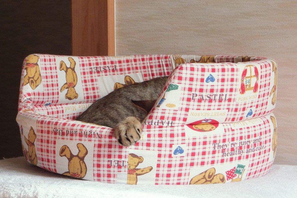恥じらい
